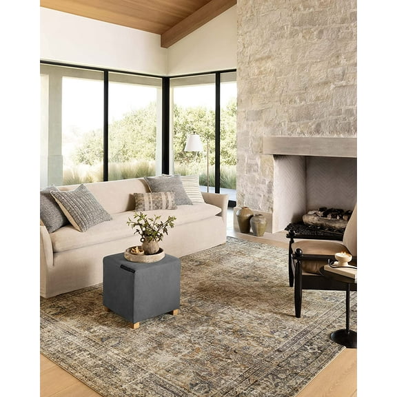 7'-3" x 9'-3" Area Rug in Sunset/Ink - Large Area Rug, Neutral Area Rug for Room Décor, Vintage Rug Inspired, Soft Area Rug for Living Room, Bedroom, Dining Area