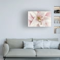 thumbnail image 2 of Trademark Fine Art 'Pink Lily' Canvas Art by Cora Niele, 2 of 4