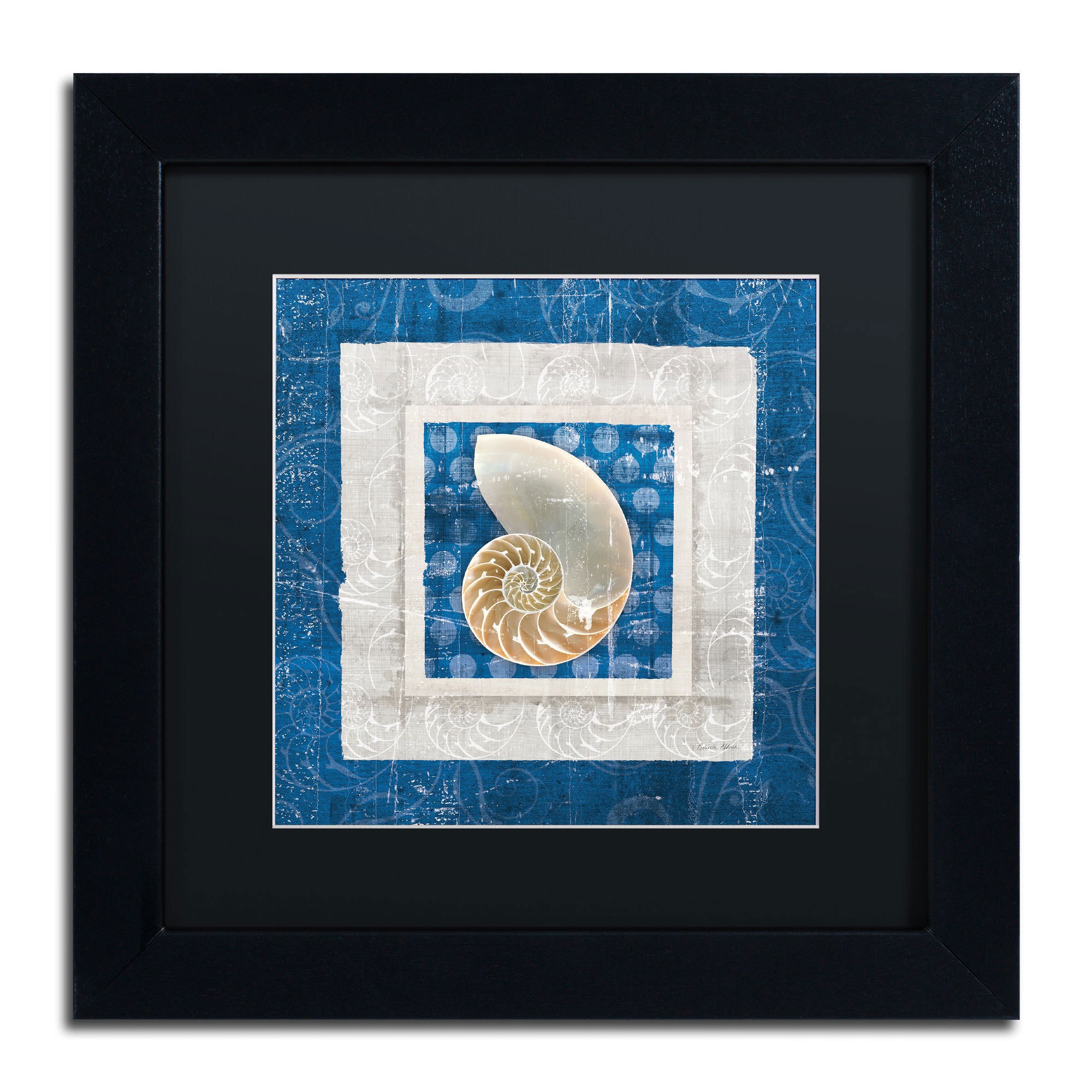Trademark Fine Art "Sea Shell II on Blue" Canvas Art by Belinda Aldrich, Black Matte, Black Frame