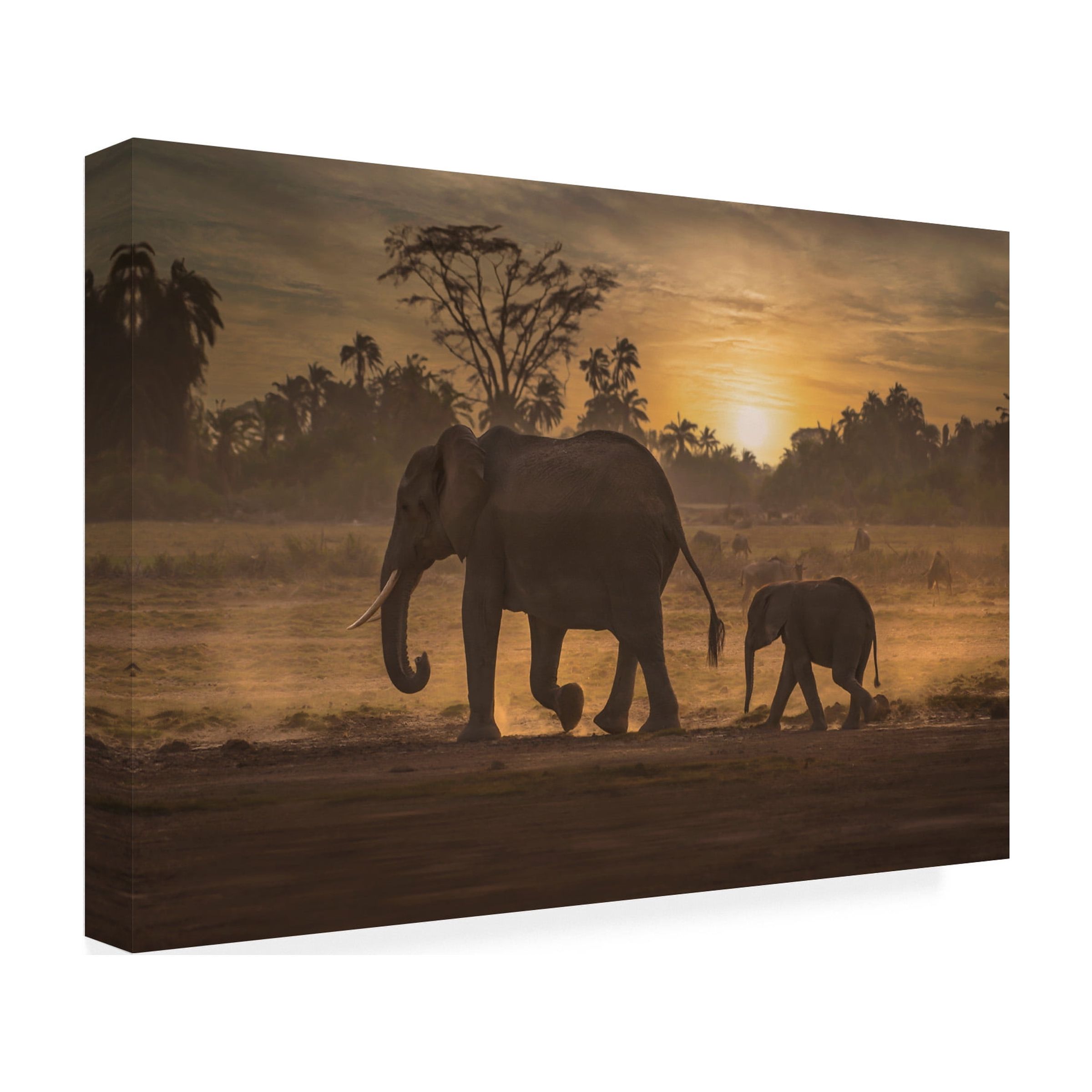 Canvas Wall Art - Isam Telhami 'Follow Me' Wall Art for Living Room, Bedroom, or Office DÃ©cor by Trademark Fine Art - 19 x 12 Inches