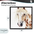 thumbnail image 4 of Stupell Industries Farmhouse Majestic Mane Spotted Horse Black Floating Frame Canvas Art, 18 x 18, by Svetlana Aleynikova, 4 of 8