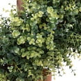 thumbnail image 6 of Northlight 5.5' Unlit Artificial Potted Two-Tone Boxwood Spiral Topiary Tree, 6 of 7