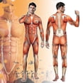 thumbnail image 5 of Mono elástico con estampado de músculos para fiesta de Halloween en 3d, traje de cuerpo de anatomía humana, disfraz de Cosplay, Catsuit, 5 of 5