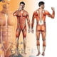 thumbnail image 5 of Mono elástico con estampado de músculos para fiesta de Halloween en 3d, traje de cuerpo de anatomía humana, disfraz de Cosplay, Catsuit, 5 of 5