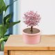 thumbnail image 3 of Novedad Crystal Tree Growing , Crystal Science Experiments Toy, Learning Educational Toy, Science s para pequeños Niñas Rojo Sunnimix Crecimiento de cristales, 3 of 8