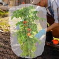 thumbnail image 5 of Insect Netting Bag, Garden Bird Barrier Mesh Covers Bags With Zipper, Insect Netting Plant Protection Covers Bags For Blueberry Tomato Vegetable Form Cicadas Bird Squirrels Eating, 5 of 9