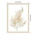 thumbnail image 5 of Amanti Art Neutral Algae II Wood Framed Wall Art Print, 5 of 7