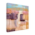 thumbnail image 2 of Sue Riger 'Terre Cotta Dunes I' Canvas Art, 2 of 3