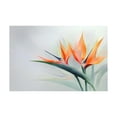 thumbnail image 5 of Mudket Framed Canvas Wall Art Orange Bird of Paradise Tropical Flower Prints Wall Decor Botanical Floral Canvas Print Ready to Hang for Living Room Bedroom Office Pictures - 12"L x 8"W, 5 of 10