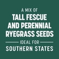 thumbnail image 4 of Pennington Smart Seed Sun & Partial Shade Grass Seed for Southern Lawns; 15 lb, 3,750 Sq. ft., New, 4 of 15