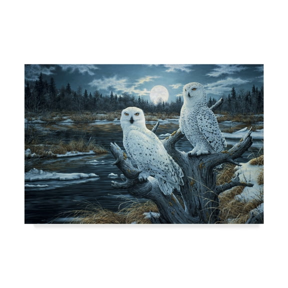Trademark Fine Art 'Snowy Owls' Canvas Art by Jeff Tift