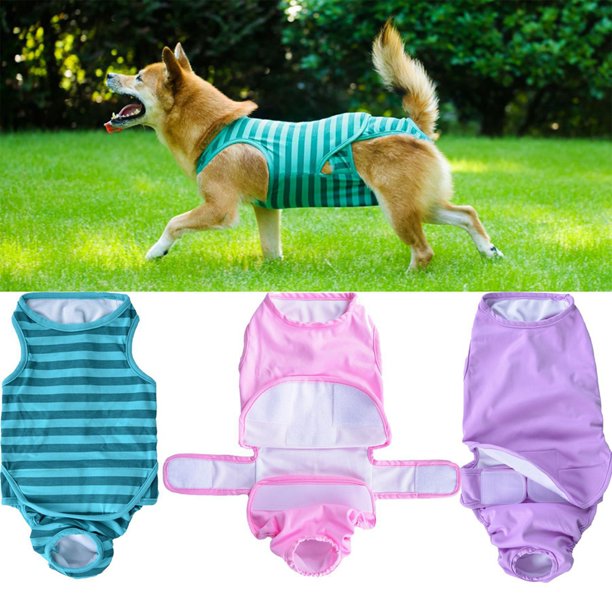 Recovery Suit for Dogs Protects Wounds, Sutures, Skin Conditions