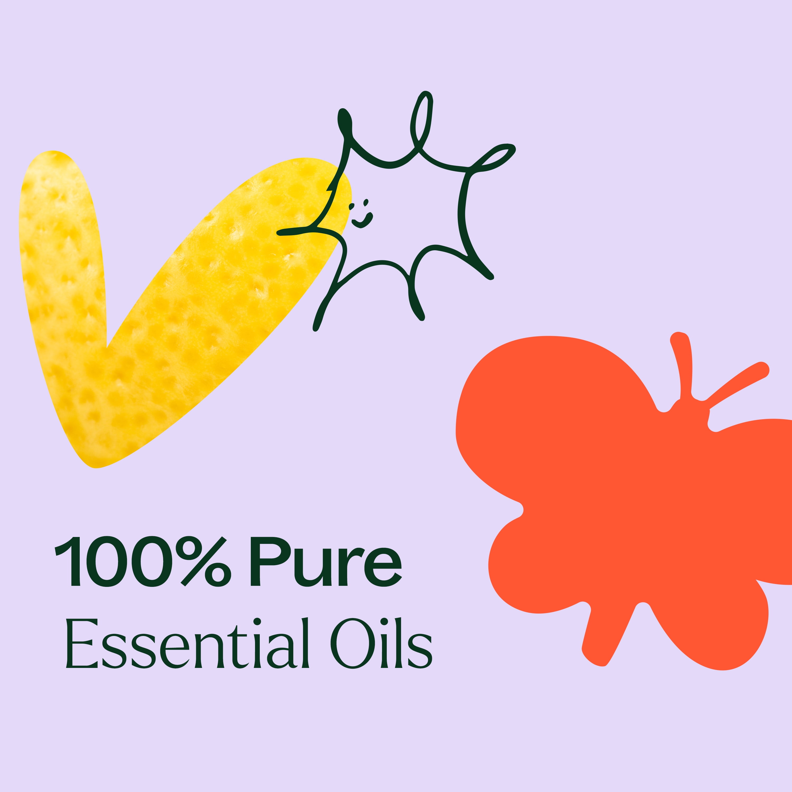 Plant Therapy Essential Oil Blends Set, Top 6 Most Popular, 100% Pure, Undiluted, Natural Aromatherapy 10 mL ea
