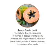 Botanic Choice Chewable Papaya Enzyme Tablets 49 mg. Digestive Herbal Supplement, 180 tablets