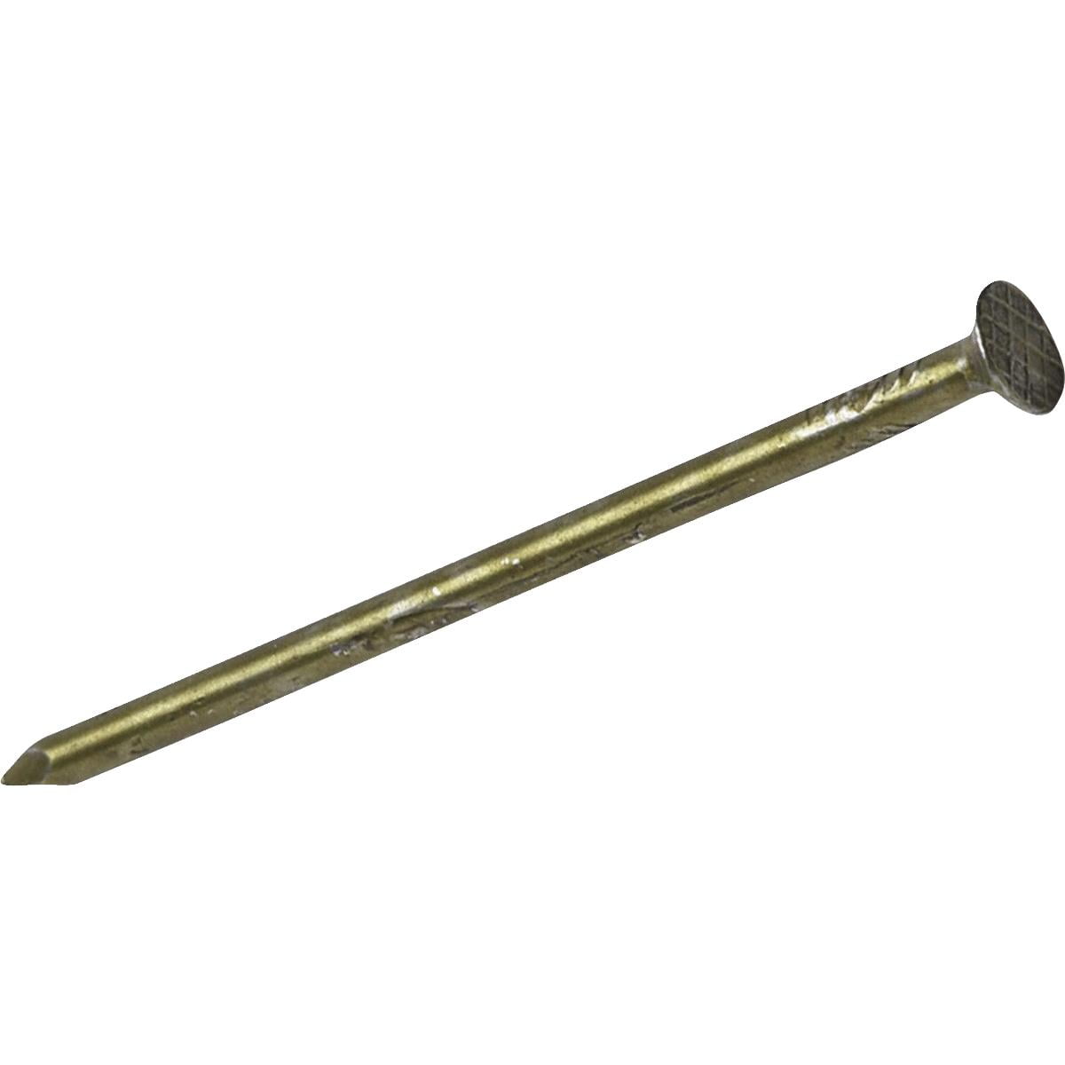 GripRite 10d x 27/8 In. 11 ga Coated Sinker Framing Nails (5550 Ct