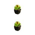 thumbnail image 3 of Matsuzay Bonsái en maceta de cerámica suculenta verde artificial con jarrón, planta de imitación, jardín, oficina, balcón, decoración al Type2 NO2, 3 of 6