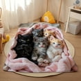 thumbnail image 3 of 1pc Soft Plush Flannel Cat Print Blanket - Cozy Fantasy Theme with 6 Adorable Kittens, Mixed Colors, All-Season Indoor/Outdoor Use for Home, Camping & Travel, Whimsical Kitten Design, 3 of 5