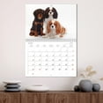 thumbnail image 3 of Lovable Cavalier King Charles Spaniel (Monthly Wall Calendar 2026 16.5 x 23.4 (open)), CALVENDO 14 Month Calendar, 3 of 9