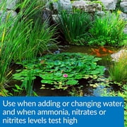 Api Aquaessential Pond, 32 Oz
