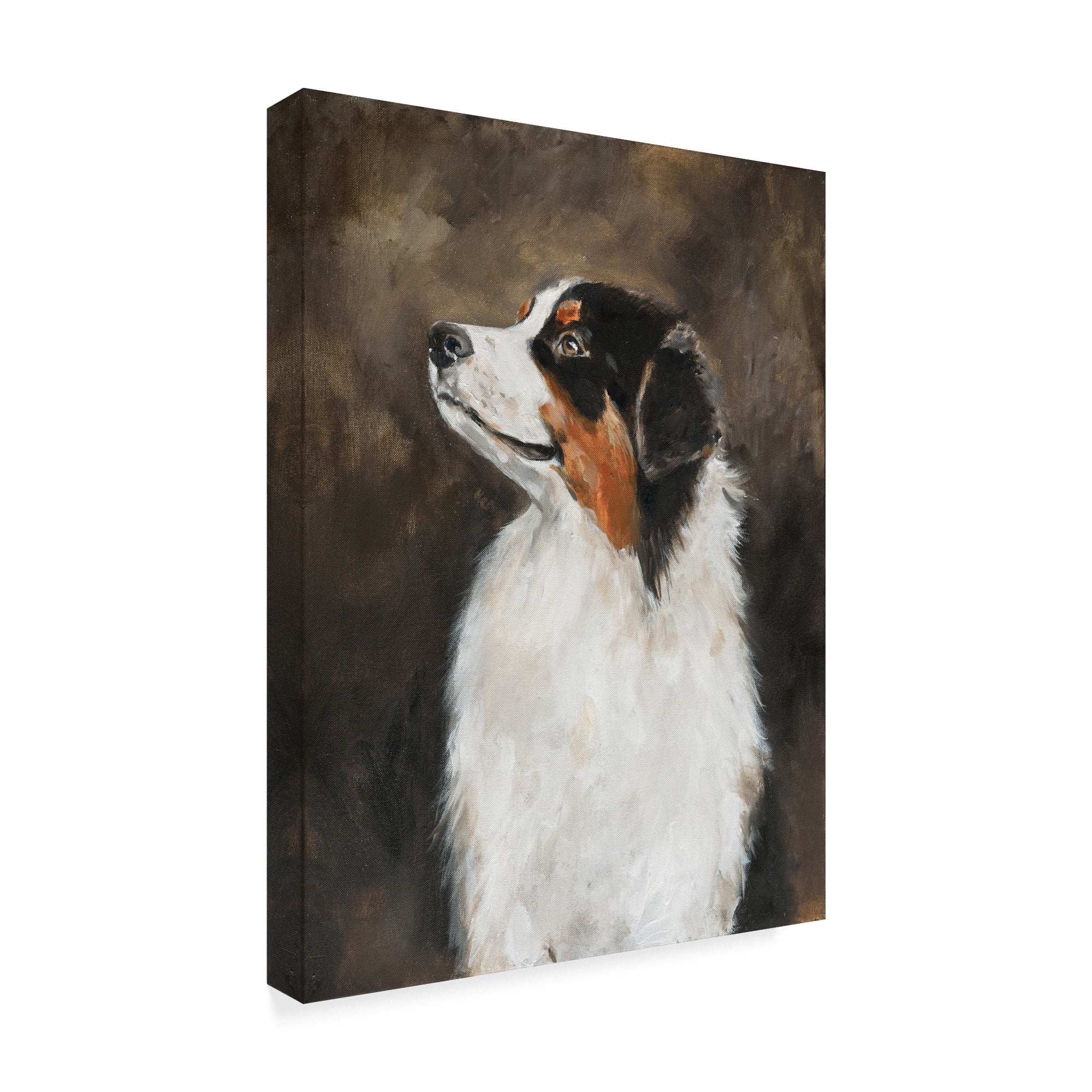 Trademark Fine Art 'Australian Shepherd Abstract' Canvas Art by Solveiga