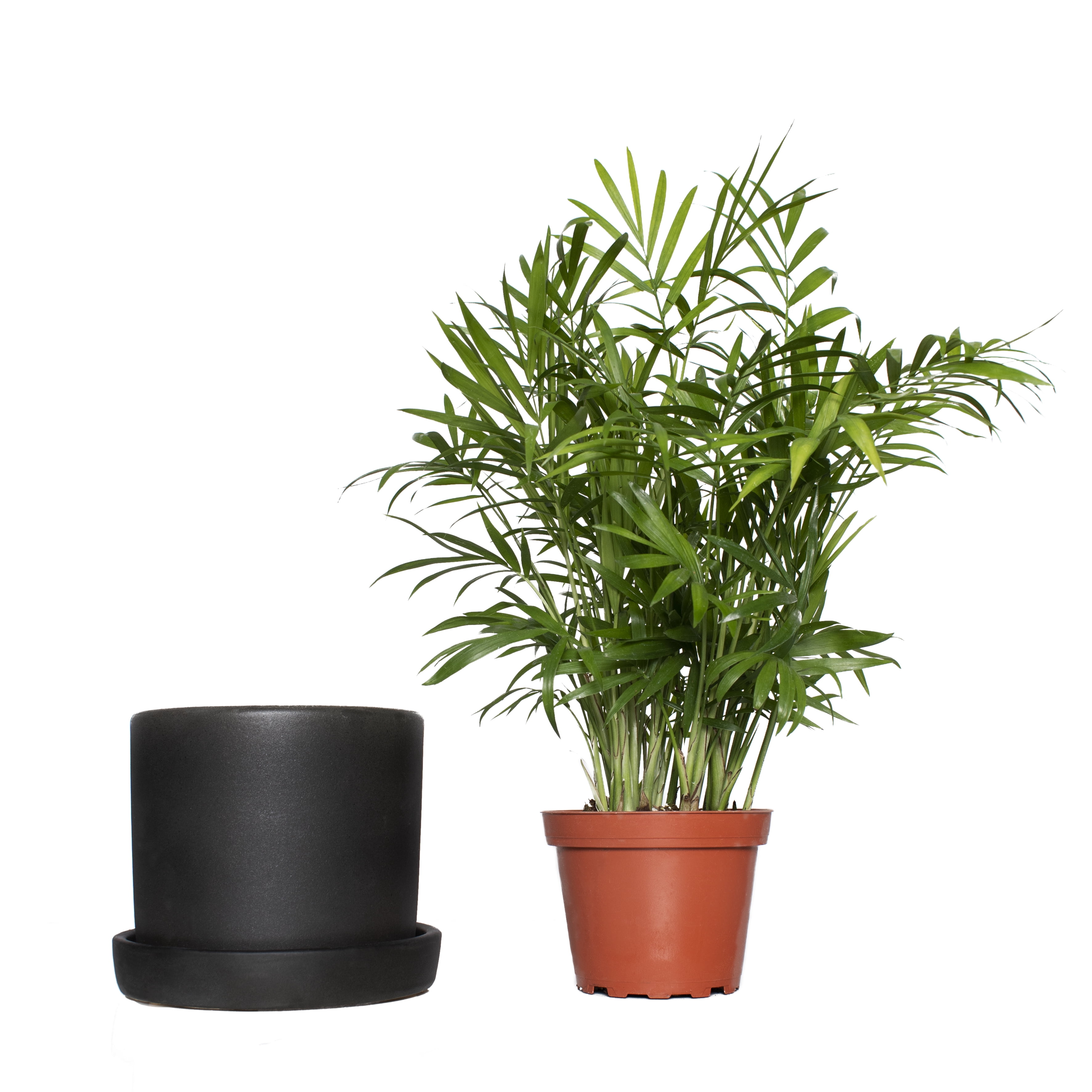 5 In. Hyde Semi Matte Black Container with Saucer - 1 Piece