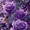 Purple Rose Butterfly Leopard, variant on UXIEQU Purple Rose Butterfly Leopard Canvas Wall Art Print 15.75x11.81 Inches