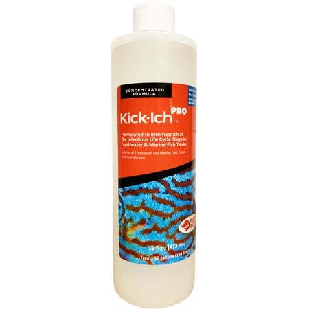 UPC: 0685759125244 | Ruby Reef Kick-Ich Pro