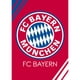 thumbnail image 1 of Pintura de diamante (DB6349) FC Bayern Munich 5D DIY Mosaico de diamantes de imitación cuadrados 50x70cm FLhrweasw Nuevo, 1 of 1