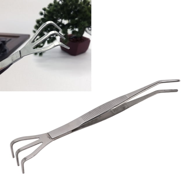 Râteau à Racines Bonsaï, Pince à Épiler, 3 Broches, Acier Inoxydable, Outil de Jardinage pour Desserrer le Sol avec Poignée Ergonomique