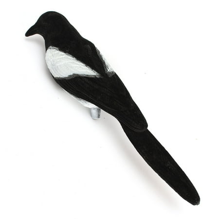 - Flocked Magpie Decoy Hunting Bait Larsen Trap Decoying Shooting Bird Realistic