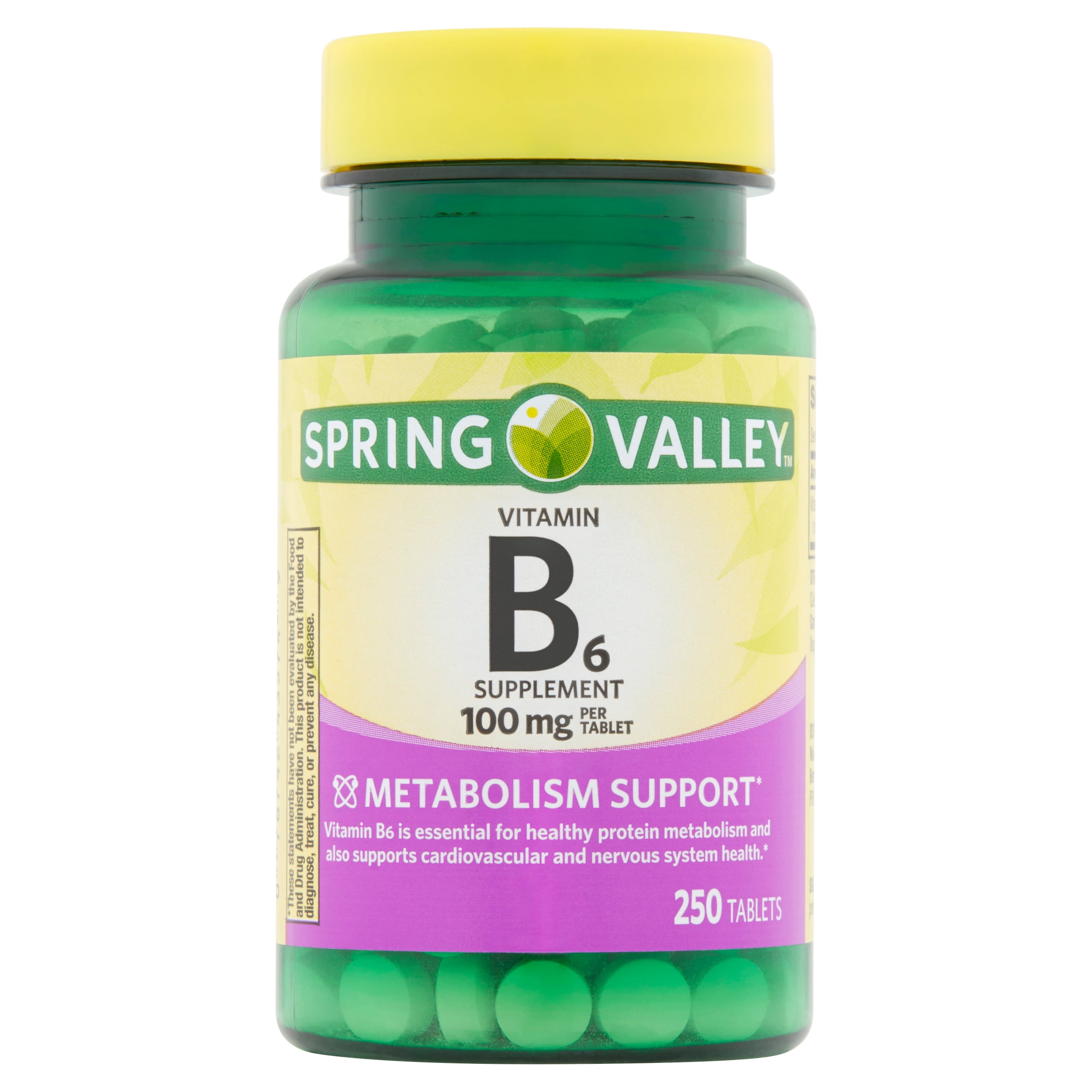 Spring Valley Vitamin B6 Tablets 100mg 250ct Walmartcom