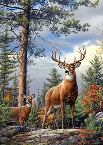 Buffalo Games - Hautman Brothers - Standing Proud - 300 Large Piece Jigsaw Puzzle - image 1 of 3
