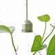 thumbnail image 4 of Bombilla de luz transparente, florero colgante de vidrio, botella, terrario, contenedor hidropónico, flor, bricolaje, decoración de la boda del hogar 1/2/3 piezas Vogacara JJ16976-03B, 4 of 6