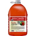 thumbnail image 1 of Jabón Líquido Antibacterial VivoNatural para Manos y Cuerpo Aroma Sandía 5 Litros, 1 of 4