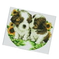 thumbnail image 1 of de para mascotas de mascota de doble 11 , manualidades para manualidades, de novedad Gloria Kits de punto de cruz estampado, 1 of 9