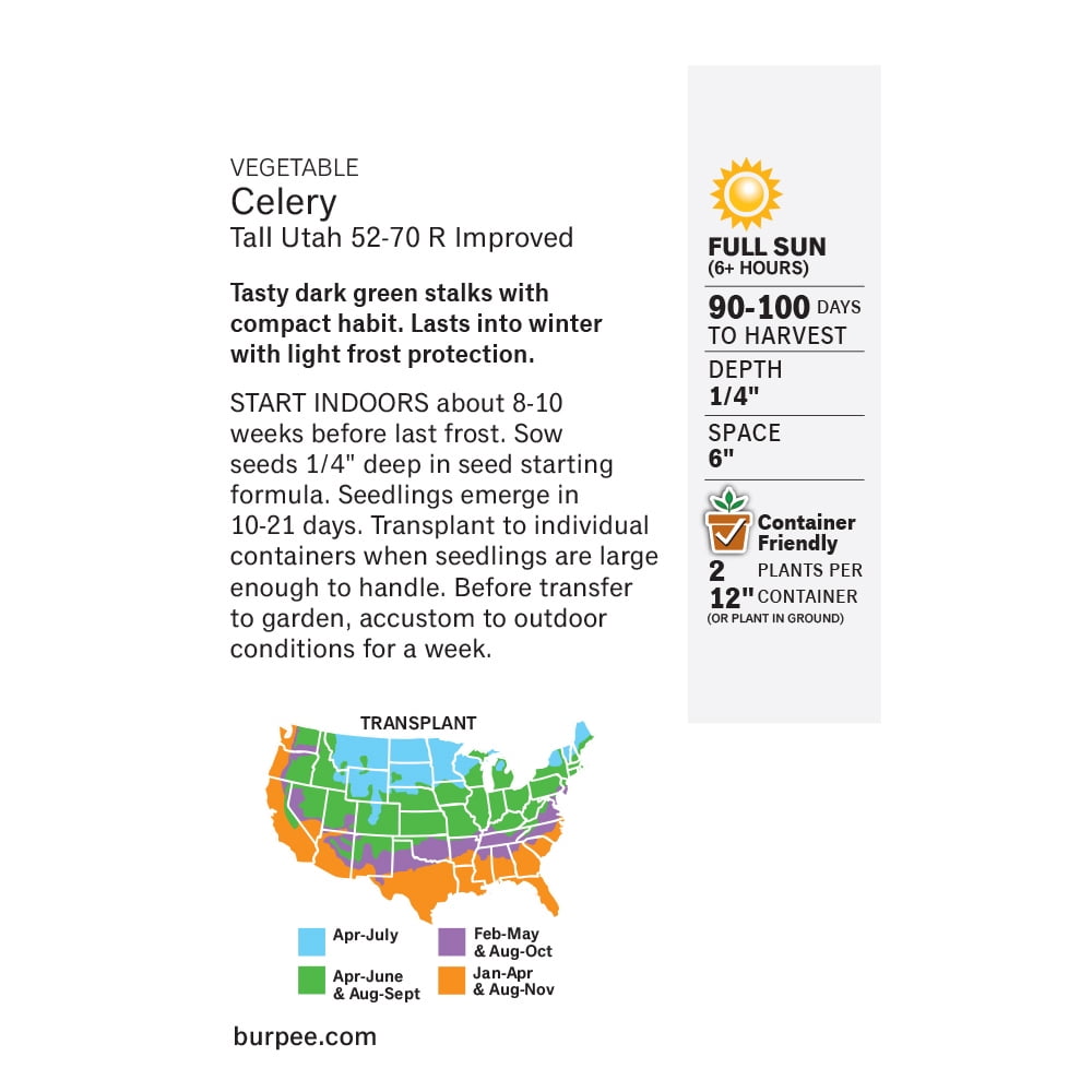 Burpee Tall Utah 52-70 R Improved Celery Annual Vegetable Seed, 1-Pack, Full Sun