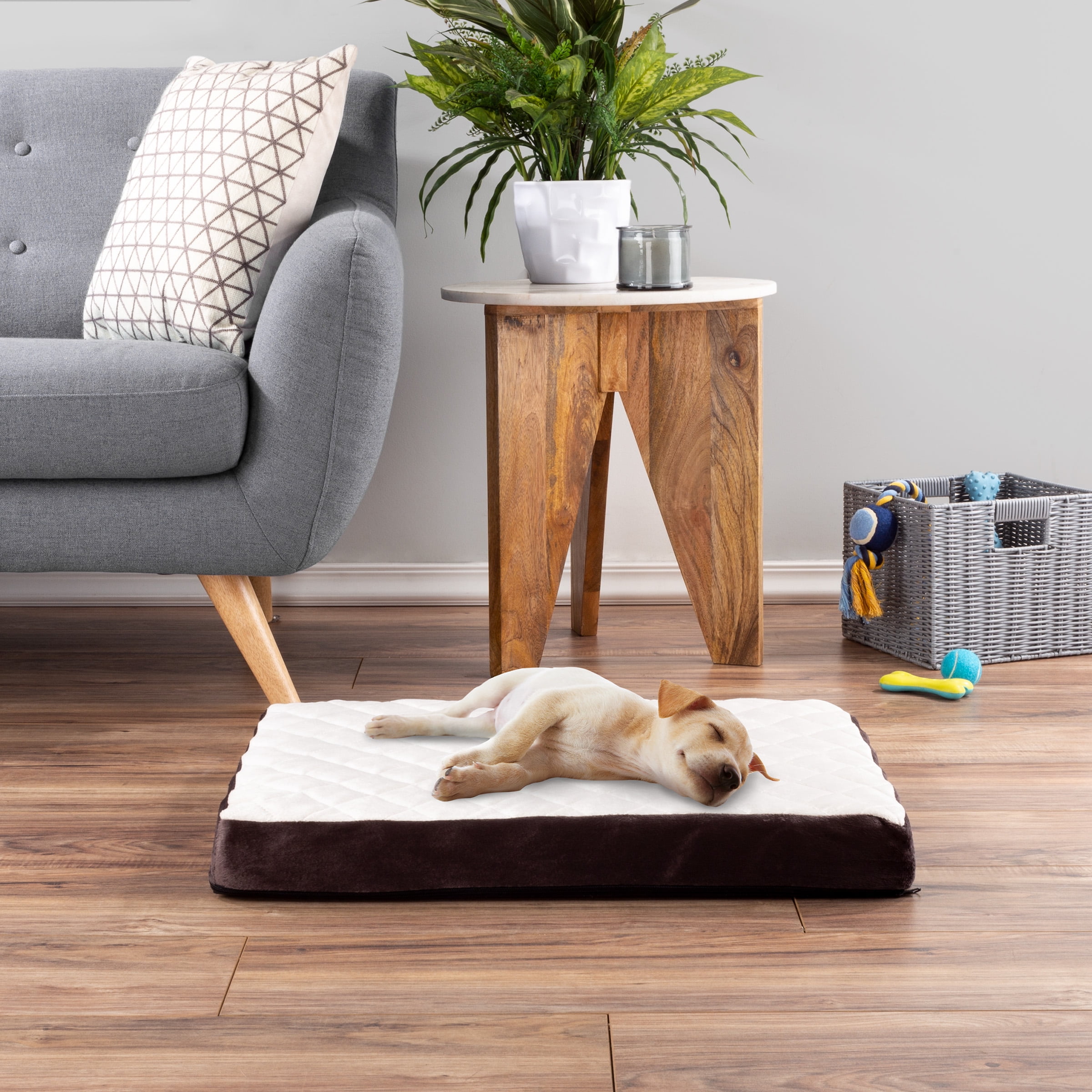 Dog Bed – Bamboo Charcoal Infused Egg Crate Style Foam Pet Bed with a Plush Cover – 26x19 Dog Bed for Small Dogs up to 35lbs by PETMAKER (Brown)