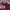 MAROON, variant on Instant Message - Therapist Hear About This - Men's Short Sleeve Graphic T-Shirt