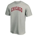 thumbnail image 2 of Men's Heathered Gray Chicago Bulls Alternate Logo T-Shirt, 2 of 3