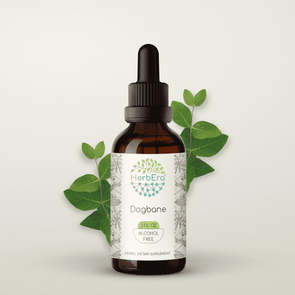 HerbEra Dogbane Tincture, Herbal Dietary Supplement for Nervous System Support, Luo Bu Ma (Apocynum venetum) Dried Leaf Extract, Natural, Alcohol-Free, Drops 2 oz