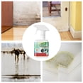 thumbnail image 1 of EGNMCR 300ml Wall Stain Remover Mold stain remover, 1 of 9