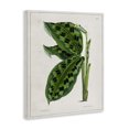 thumbnail image 3 of Stupell Industries Cottage Canvas Art, 16 x 20, by Tina Higgins Designs Inc., 3 of 8