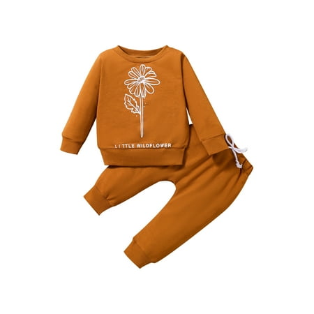 

Bagilaanoe 2Pcs Newborn Baby Girl Boy Long Pants Set Floral Print Long Sleeve Sweatshirt Pullover Tops+ Trousers 6M 12M 18M 24M Infant Casual Sweatsuit