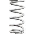 thumbnail image 1 of High Travel Coil-Over Springs, Silver, 1 of 1