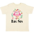 thumbnail image 3 of Inktastic Big Sis Girls Sister Announcement Girls Toddler T-Shirt, 3 of 5