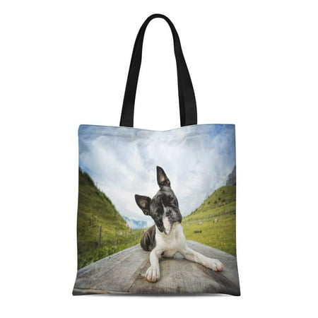 KDAGR Canvas Tote Bag Green Hiking Boston Terrier in the Austrian Alps Summer Reusable Shoulder Grocery Shopping Bags