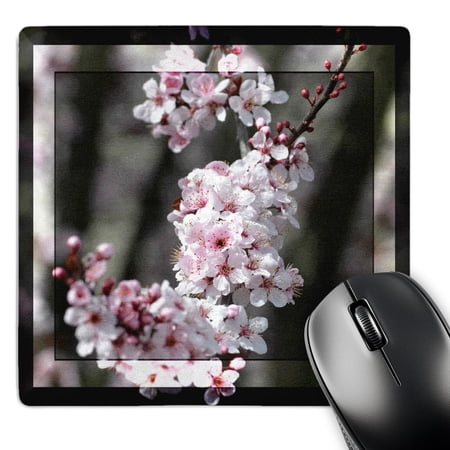 3dRose  Zen Cherry Blossom Flowers- Spring Photography  MousePad price history on PriceWatchPro