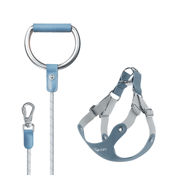 VOOCOO Dog Harness and Leash Set, No Pull No Choke Neck & Chest Adjustable Pet Harness for Small, Medium Dogs, Soft PU Leather Dog Harness with Reflective Anti-Twist Dog Leash for Puppy, Kitten, Cats