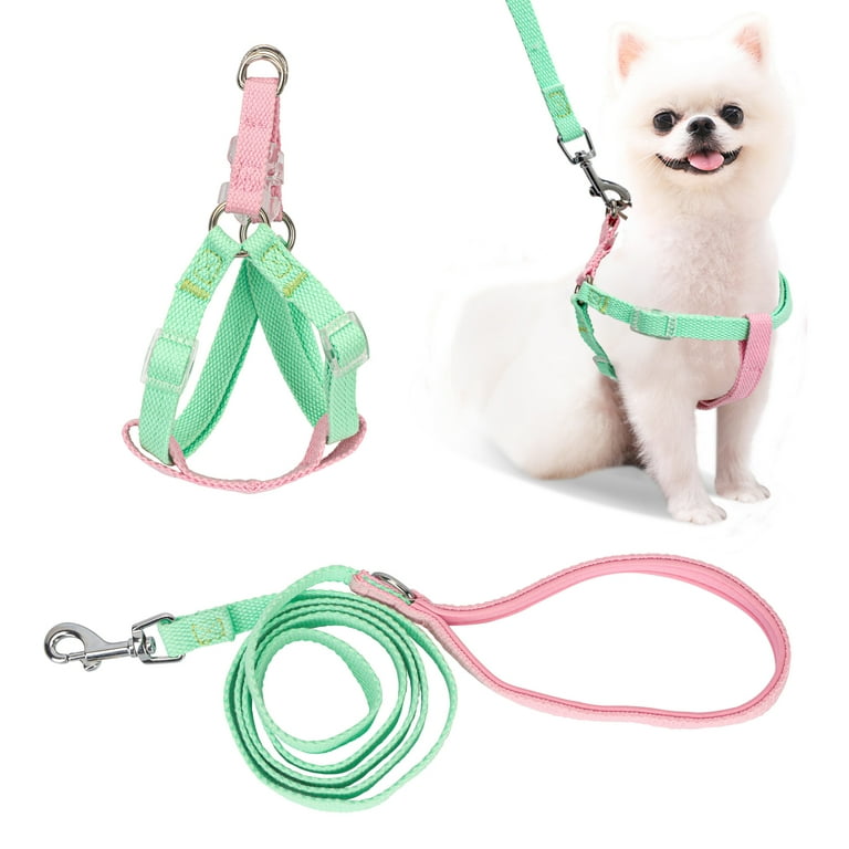 Pet Dog Harness with Rops Small Medium Dog Lead Walking Leashes Adjustable  Pet Chest Strap Fashion Dog Collar Accessories