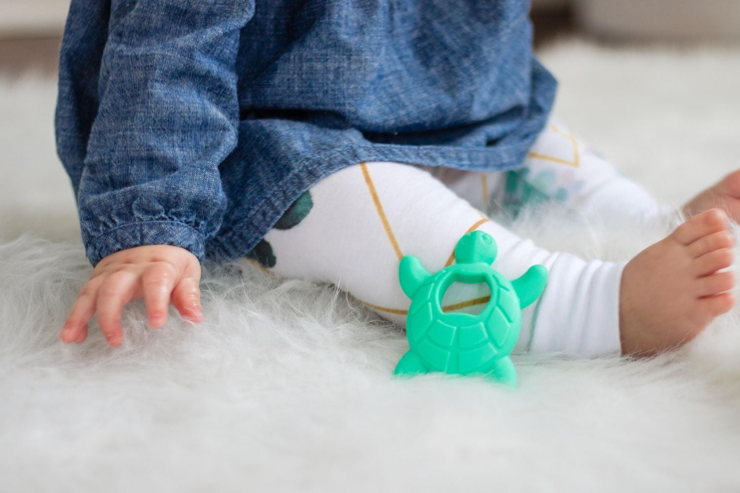 L'édition animale de Chewbox